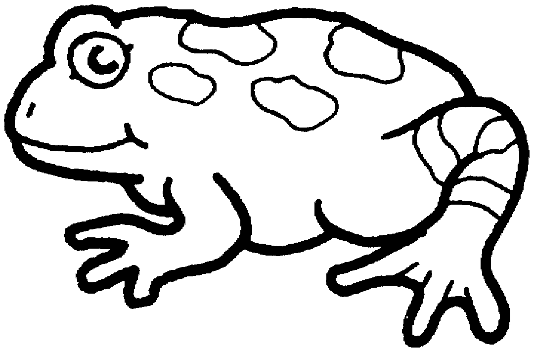 Żaby kolorowanki